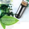MEGARA - Hans Larsen Borosilicate 550 ml Glass Bottle